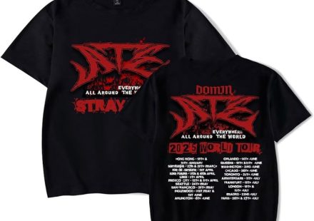 Everything You Should Know About Stray Kids Merchmerchandise